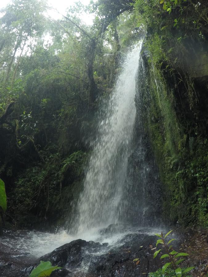Cabana De Montana La Magnolia, Cerro De La Muerte De La Canuela Cloud Forest Tres de Junio المظهر الخارجي الصورة
